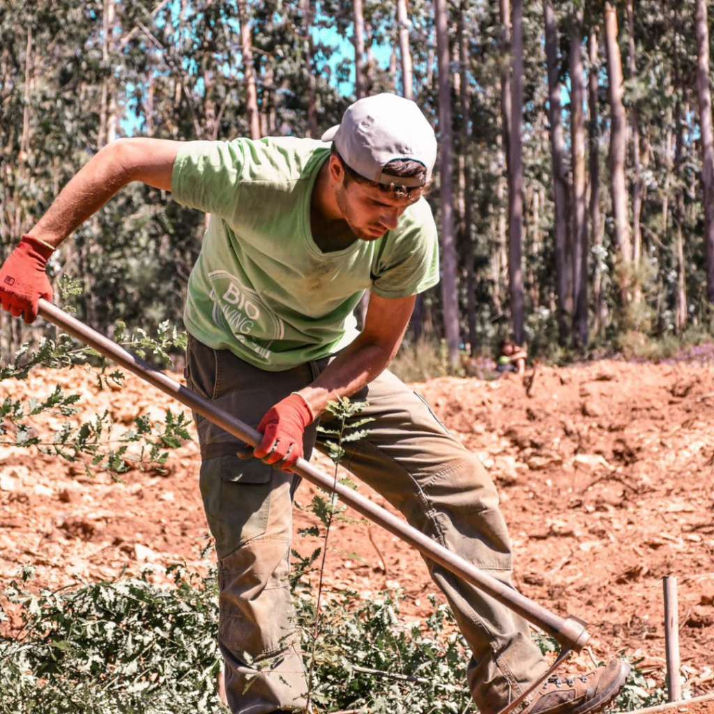 Estamos a recrutar: Assistente operacional de campo