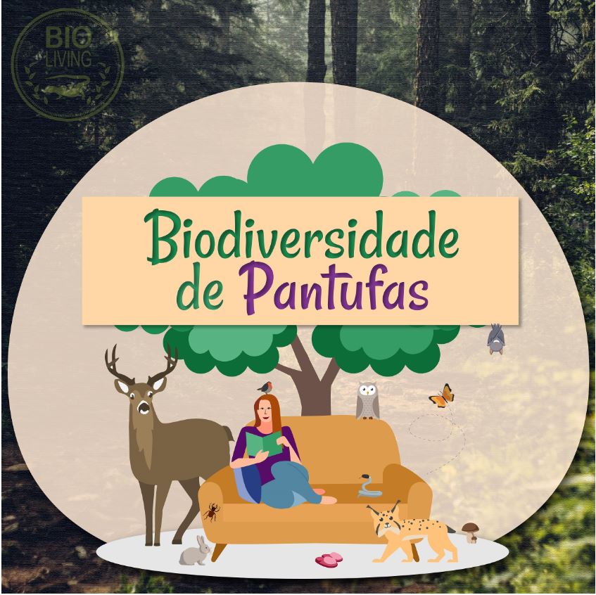 Terminou a 1ª Edição do projeto Biodiversidade em Pantufas